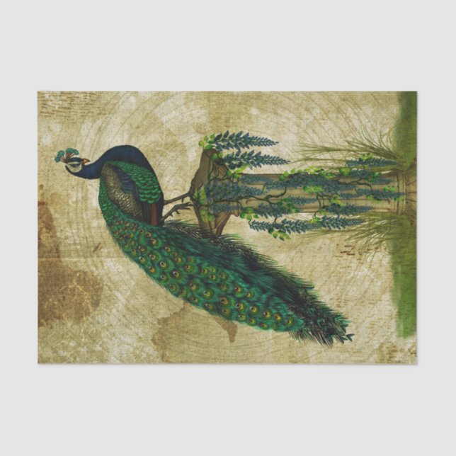 Papel De Seda Peacock elegante (Anverso)