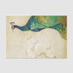 Papel De Seda Peacock elegante