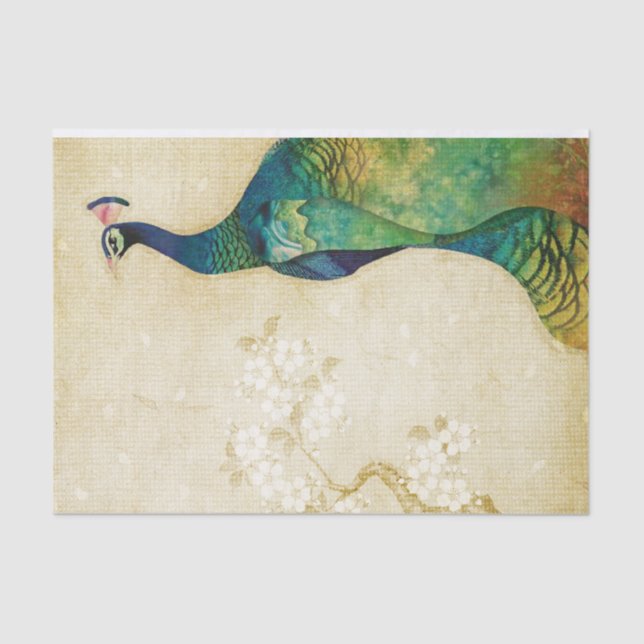 Papel De Seda Peacock elegante (Anverso)