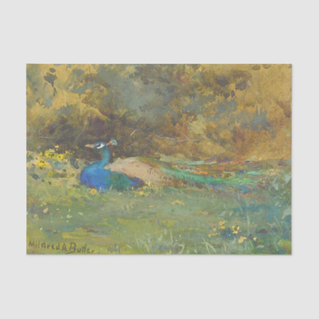 Papel De Seda Peacock en un jardín de Mildred Anne Butler (Anverso)