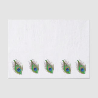 Papel De Seda Peacock feather bordered tissue paper