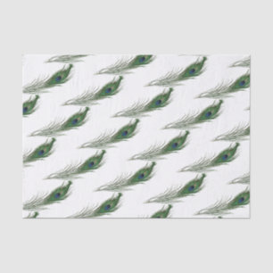 Papel De Seda Peacock Feather Pattered   Temática
