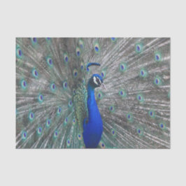 PAPEL DE SEDA PEACOCK FOTO TISSUE PAPER