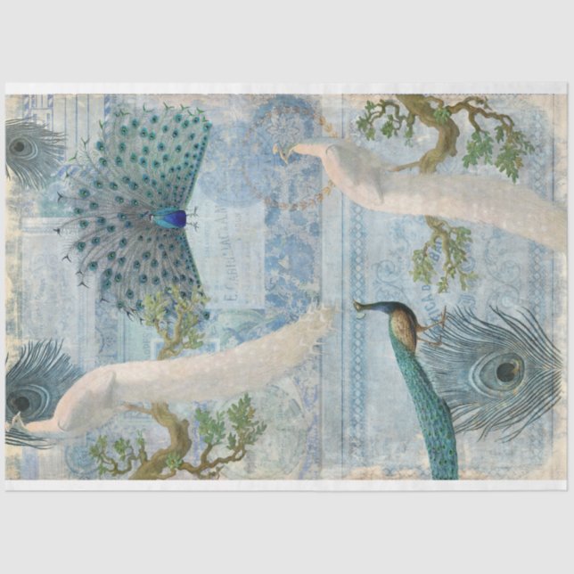 Papel De Seda Peacocks n Fethers White Blue Craft Decoupage (Anverso)