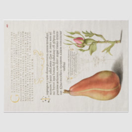 Papel De Seda Pear caligrafía Rosa francesa