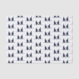 Papel De Seda Peekaboo Tissue Paper