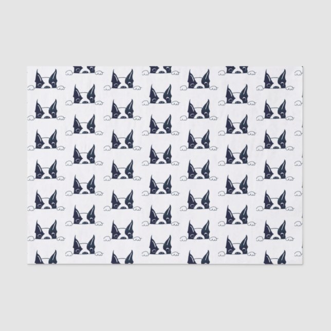 Papel De Seda Peekaboo Tissue Paper (Anverso)