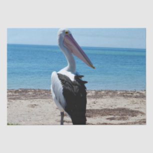 Papel De Seda Pelican Encaramado En Un Peñón De Playa,