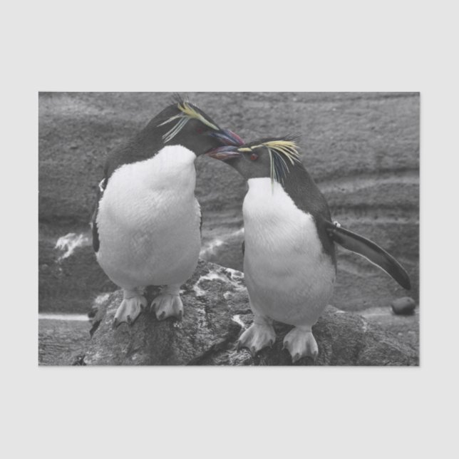 Papel De Seda Penguin Colour Splash (Anverso)