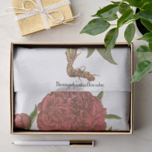 Papel De Seda Peonías Vintage, Flores de Peonía por Basilius Bes