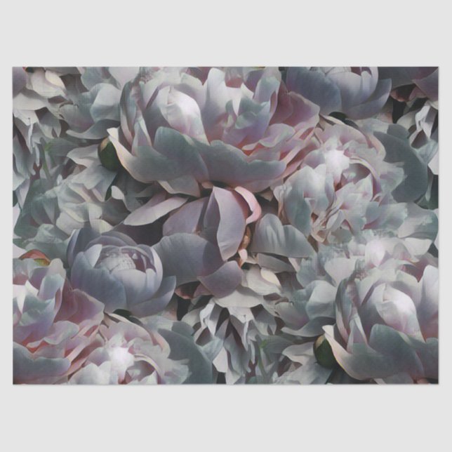 Papel De Seda Peony-Studio (Anverso)