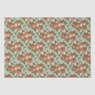 Papel De Seda Pequeña Cutie Clementine Sage