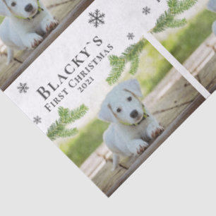 Papel De Seda Pequeña foto de Mascota de perros de porcino de Na