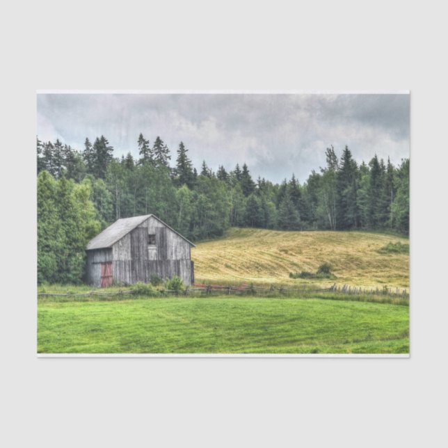 Papel De Seda Pequeño granero gris atado contra un bosque (Anverso)