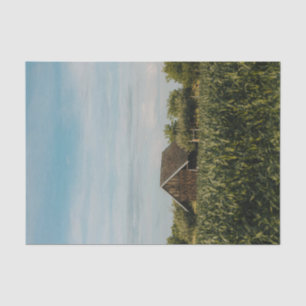 Papel De Seda Pequeño granero inteligente acurrucado en un maiza