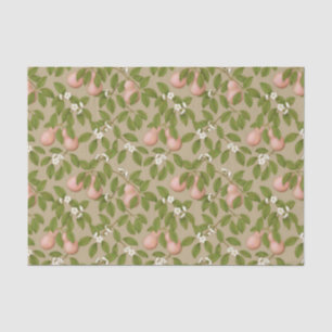 Papel De Seda Peras rosas (marrón claro)