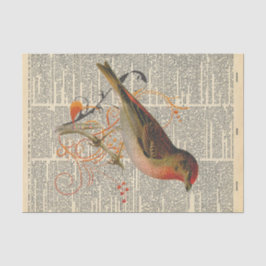 Papel De Seda Periódico vintage con desafureador de aves