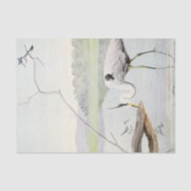 Perón costero, kingfisher y acuarela