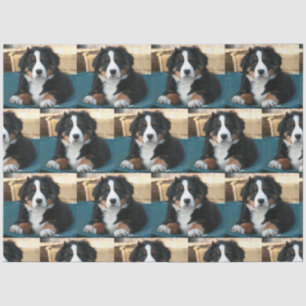 Papel De Seda perrito de montaña de bernesa