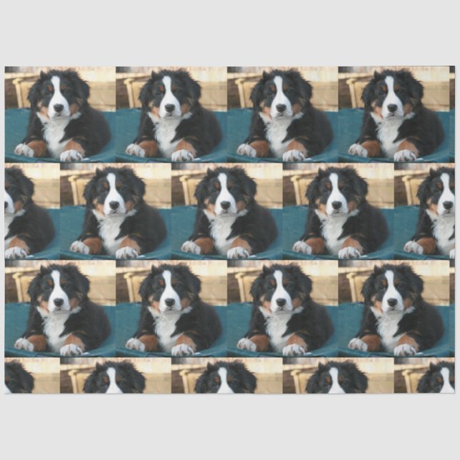 Papel De Seda perrito de montaña de bernesa (Anverso)