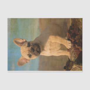 Papel De Seda Perrito lindo del bulldog francés, vintage