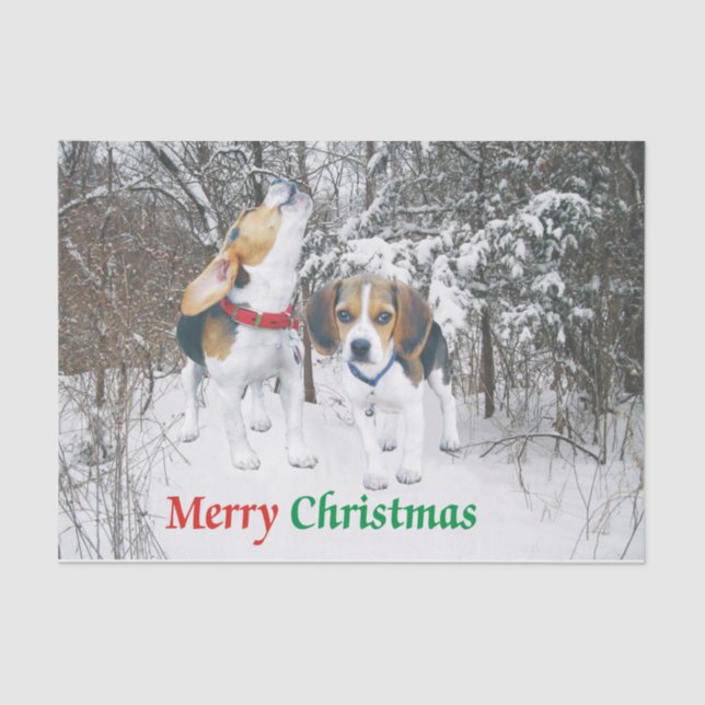 Papel De Seda Perritos del beagle de las Felices Navidad en (Anverso)