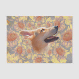 Papel De Seda Perro Boho Corta Flores
