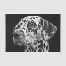 Papel De Seda Perro Dalmation Decoupage blanco y negro