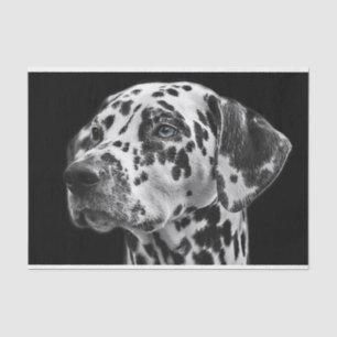 Papel De Seda Perro Dalmation Decoupage blanco y negro