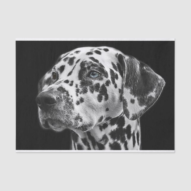 Papel De Seda Perro Dalmation Decoupage blanco y negro (Anverso)