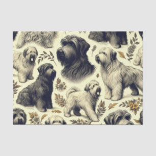 Papel De Seda Perro de Briard inmaculado