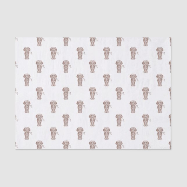 Papel De Seda Perro de Dachshund Sausage, de larga tradición (Anverso)