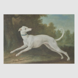 Papel De Seda Perro de Greyhound blanco (por Jean-Baptiste Oudry
