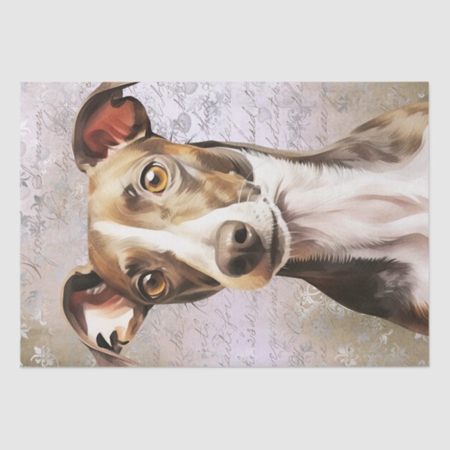 Papel De Seda Perro de Greyhound italiano (Anverso)