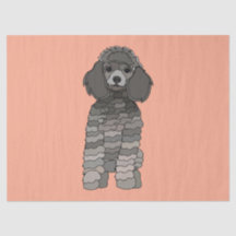 Perro de mascota caniche