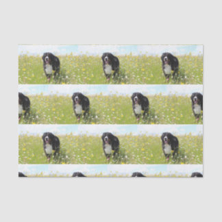 Papel De Seda perro de montaña de bernesa en el campo