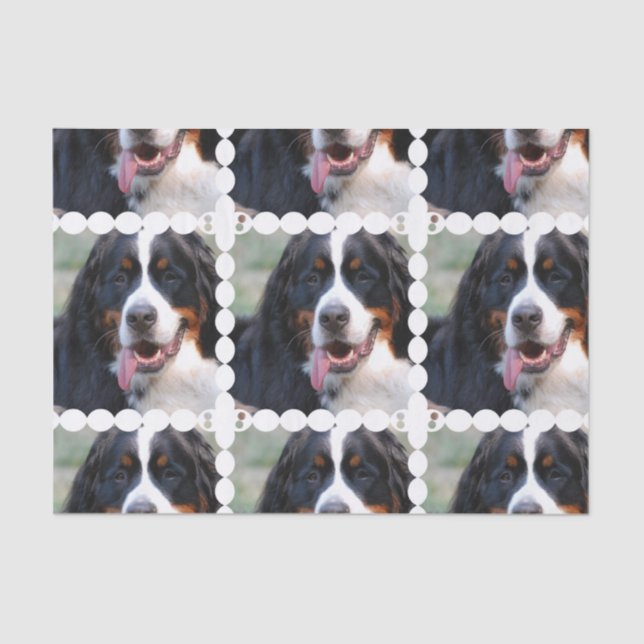 Papel De Seda Perro de montaña de Bernese realmente lindo (Anverso)