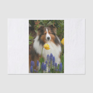 Papel De Seda perro de oveja de los shetland con flores