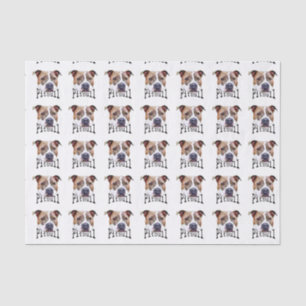 Papel De Seda Perro de Pitbull