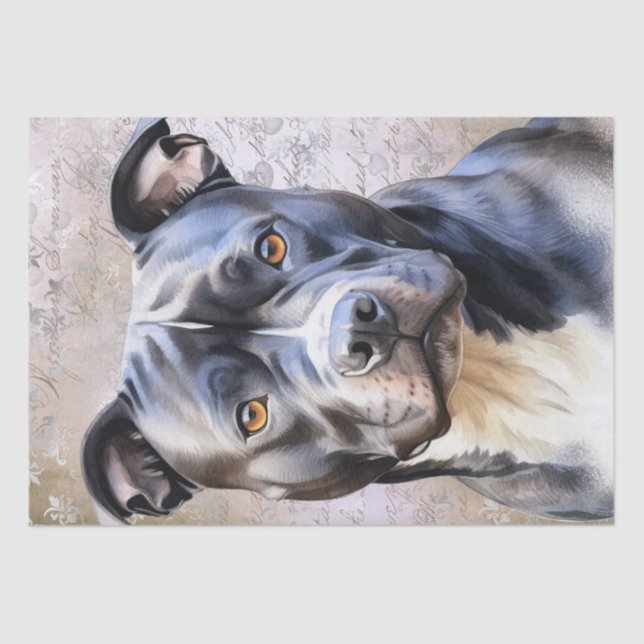 Papel De Seda Perro de Staffordshire Bull Terrier (Anverso)