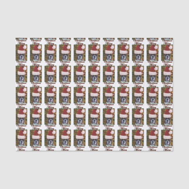 Papel De Seda Perro del boxeador del navidad (Anverso)