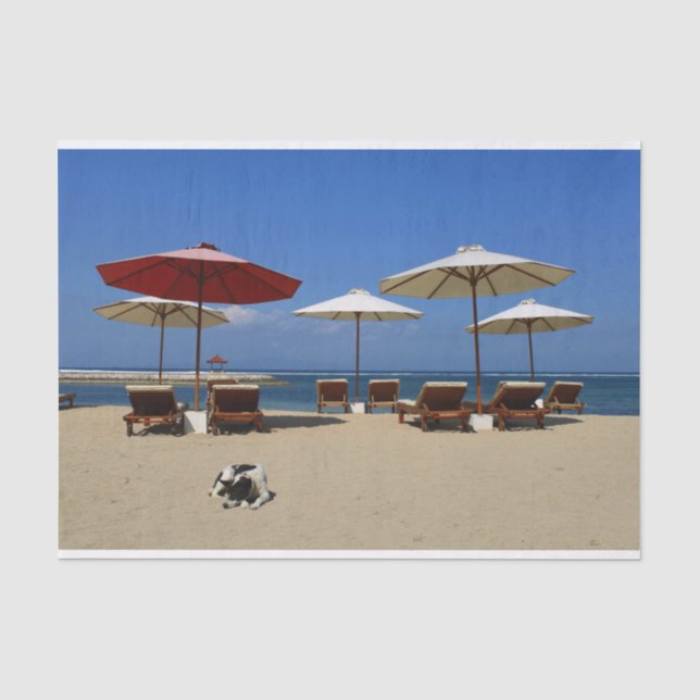Papel De Seda Perro en la playa (Anverso)