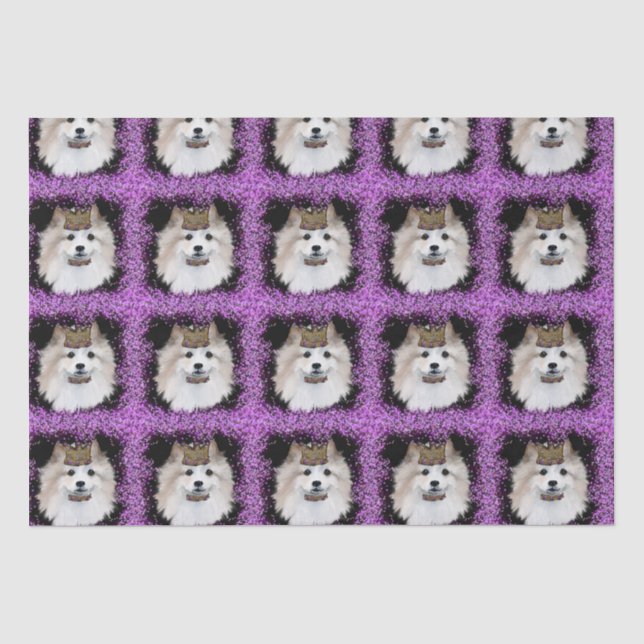 Papel De Seda Perro Esquimal Americano (Anverso)