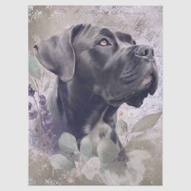Papel De Seda Perro floral Cane Corso (Anverso)