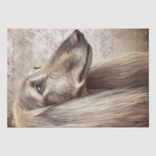 Papel De Seda Perro hound afgano
