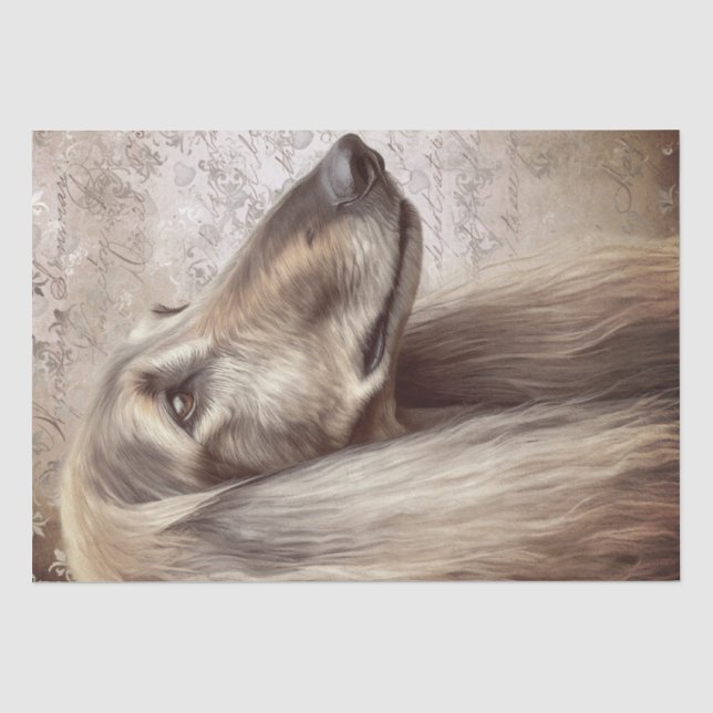 Papel De Seda Perro hound afgano (Anverso)
