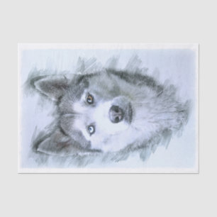 Papel De Seda Perro Husky Siberiano