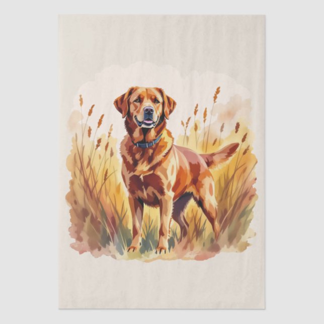Papel De Seda Perro Labrador Retriever Fox Rojo (Anverso)