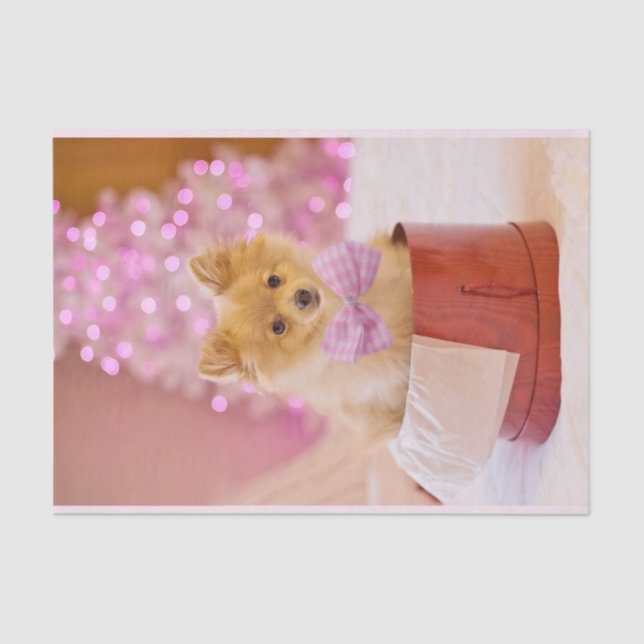 Papel De Seda Perro lindo con Navidades de vaca rosa fotografía (Anverso)