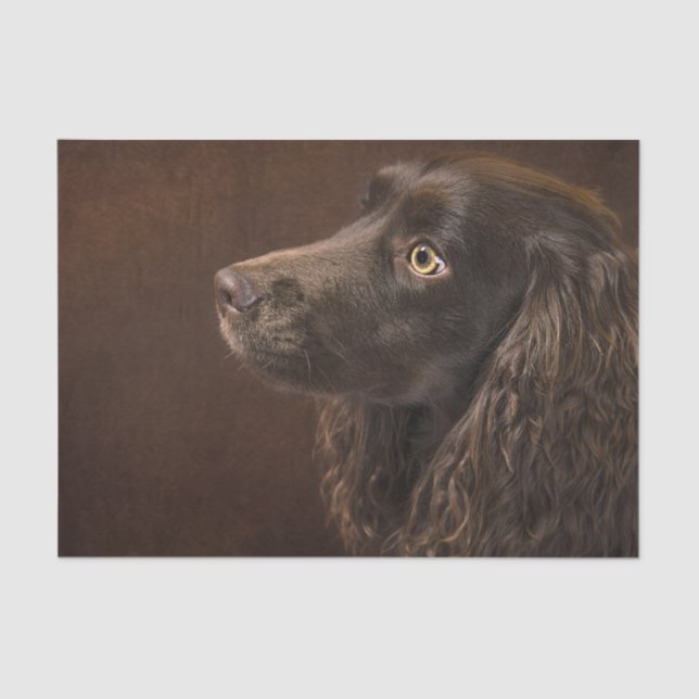 Papel De Seda Perro moreno (Anverso)